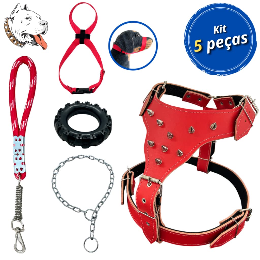 Kit peitoral de couro pitbull focinheira guia com amortecedor brinquedo enforcador