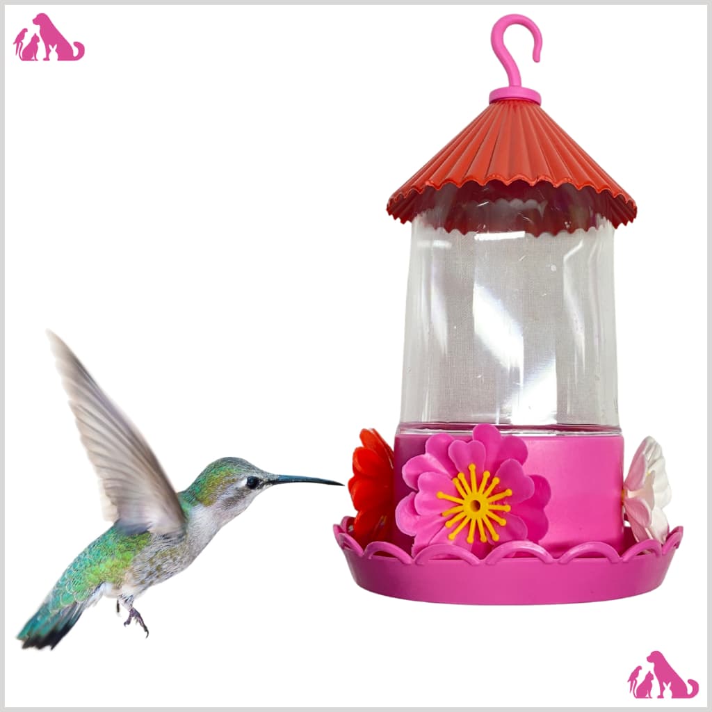 Bebedouro para beija flor com chapéu