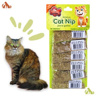 Kit 2 Unid CatNip 100% natural 4g