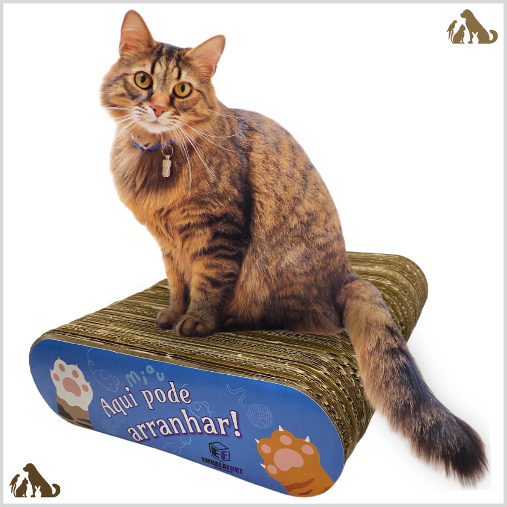 Arranhador Para Gatos Brinquedo Parar Gatos Papelão