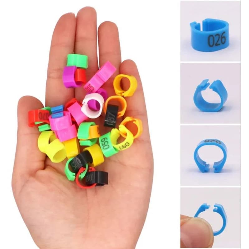 100 Anilhas para pombos e pintinhos 8mm numeradas de 001 á 100 click aberta