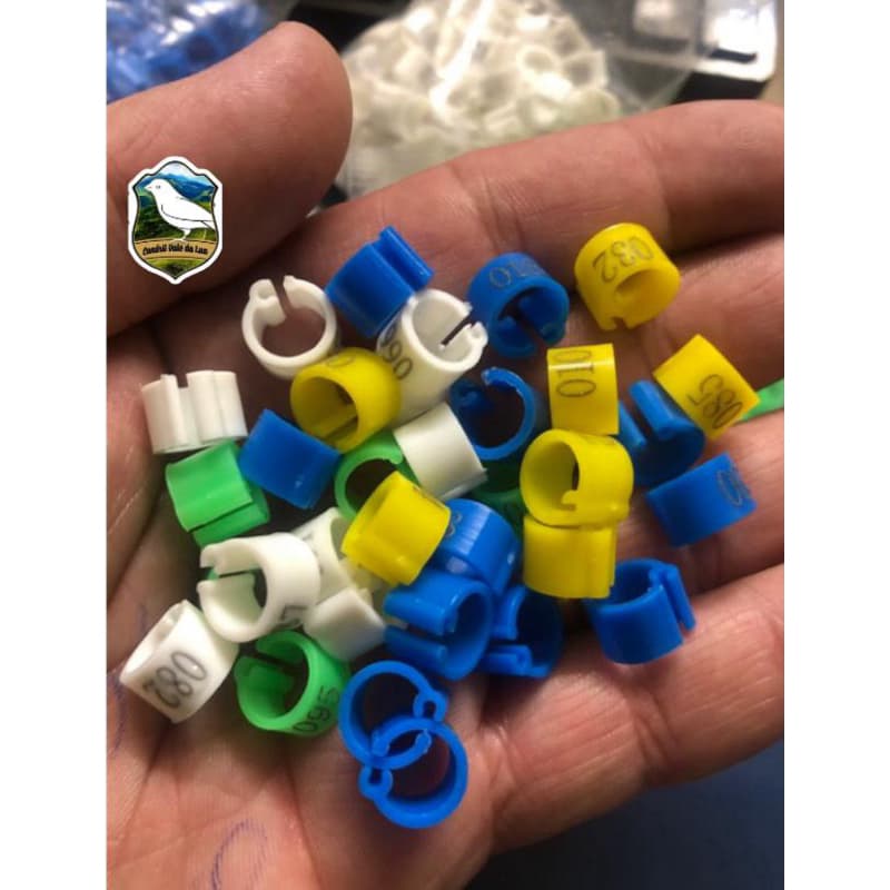 30 anilhas plásticas numeradas fecho click 6mm para aves adultas