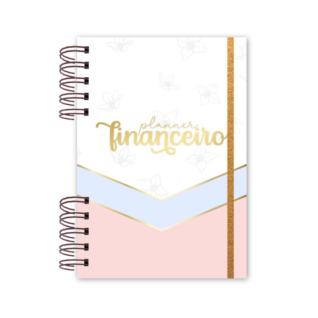 Agenda Planner Financeiro: Azul e Rosa