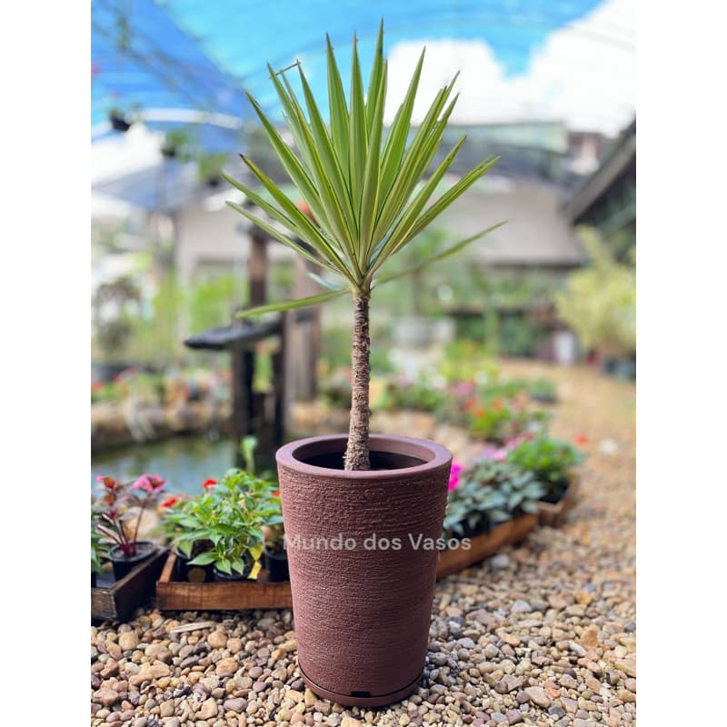 Vaso De Planta Coluna Redonda Escovada N02 C/ Prato