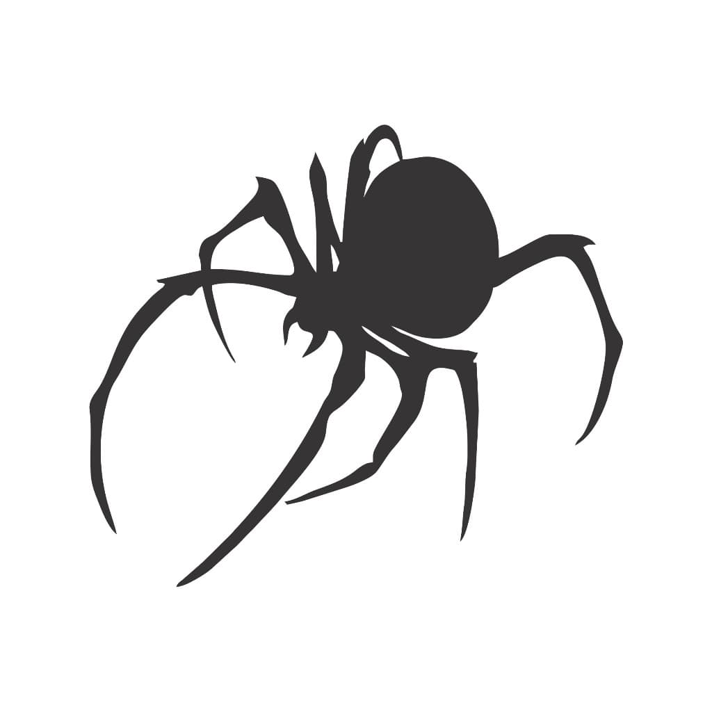 Adesivo Aranha 13x15cm Carro Retrovisor Moto