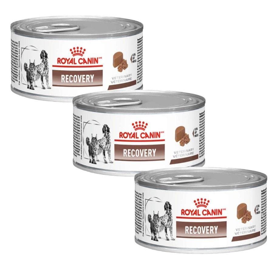 Kit com 3 Rações Úmidas Lata Royal Canin Veterinary Diet Recovery Cães e Gatos Adultos 195g