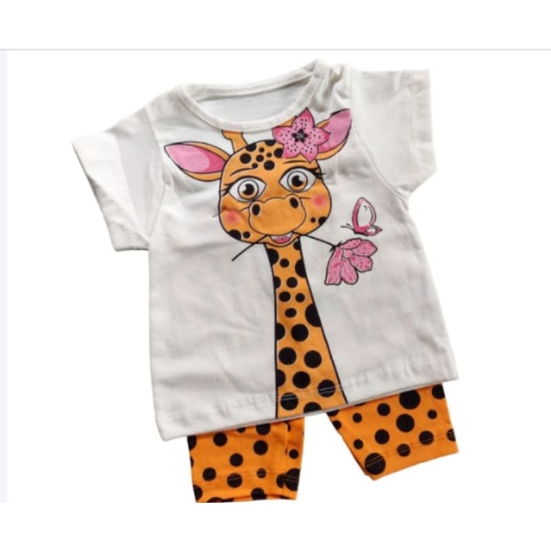 conjunto bebê menina 3 a 6 meses