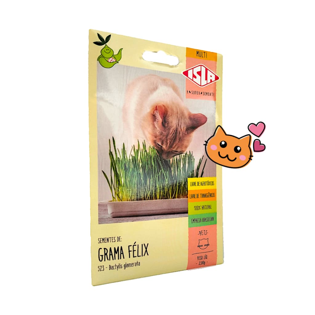 Graminha de Gato 100% Natural E Original Sementes De Grama Félix Orgânico