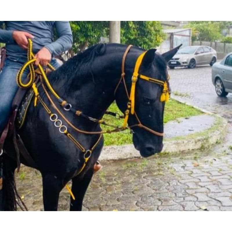 cabeçada redea peitoral de cordinha para cavalo