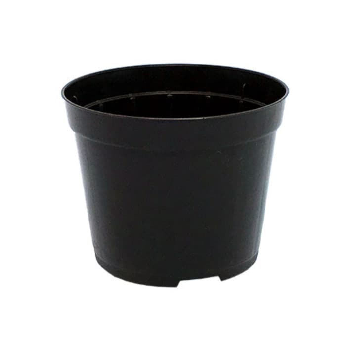 25 Vasos Pote tamanho 9 para Rosas do deserto, suculentas e mini cactos cor preto