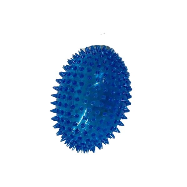 Brinquedo Bola Bolinha Oval Cravo Pet C/ Luz Apito Cachorro Cães Gato