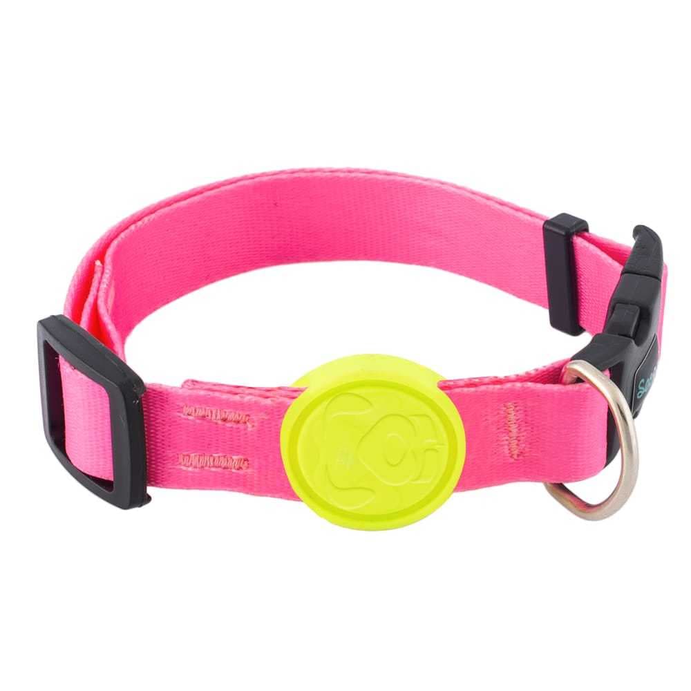 Coleira Pet Para Cachorro porte mini e pequeno