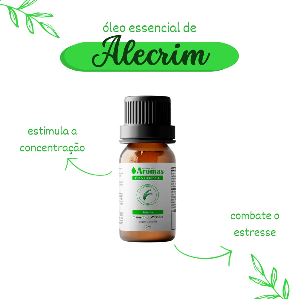 Óleo Essencial de Alecrim Paraíso dos Aromas 10ml para Aromaterapia | Ideal para uso em difusores e humificadores