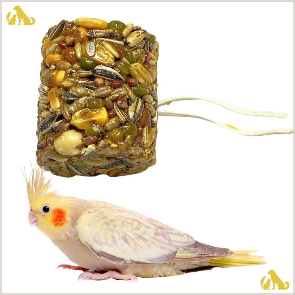 Kit 6 alimento Petisco Bloco Calopsita