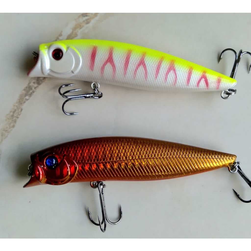 Kit Pesca Com 2 Iscas Artificias Meia Água. Duas Unidades. Tucunaré Traíra Dourado Robalo