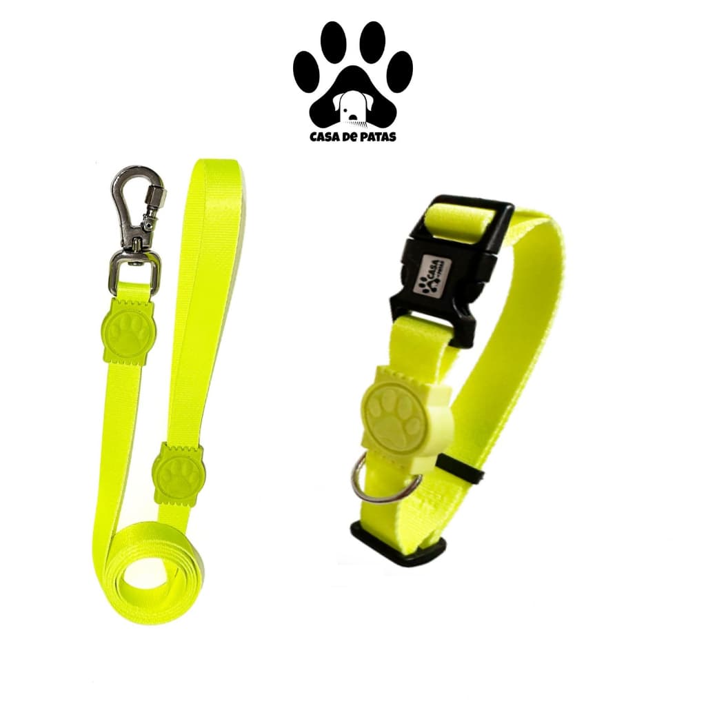 Kit Coleira + Guia para Cachorro Varias cores e Estampas tamanhos P M G Guia padrão 1,20m
