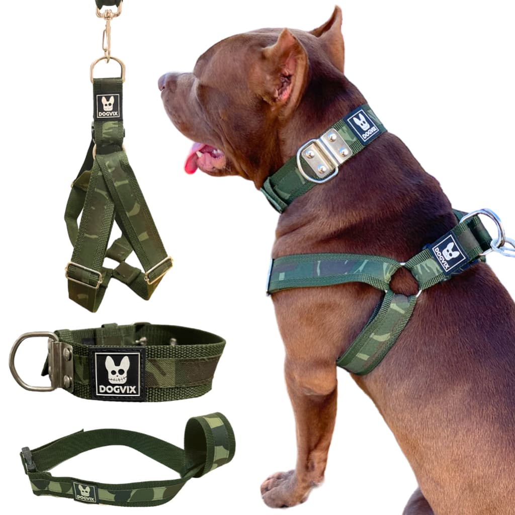 Kit Coleira Ajustável Guia Peitoral Focinheira Camuflado Para Cachorro Grande Regulável Confortável