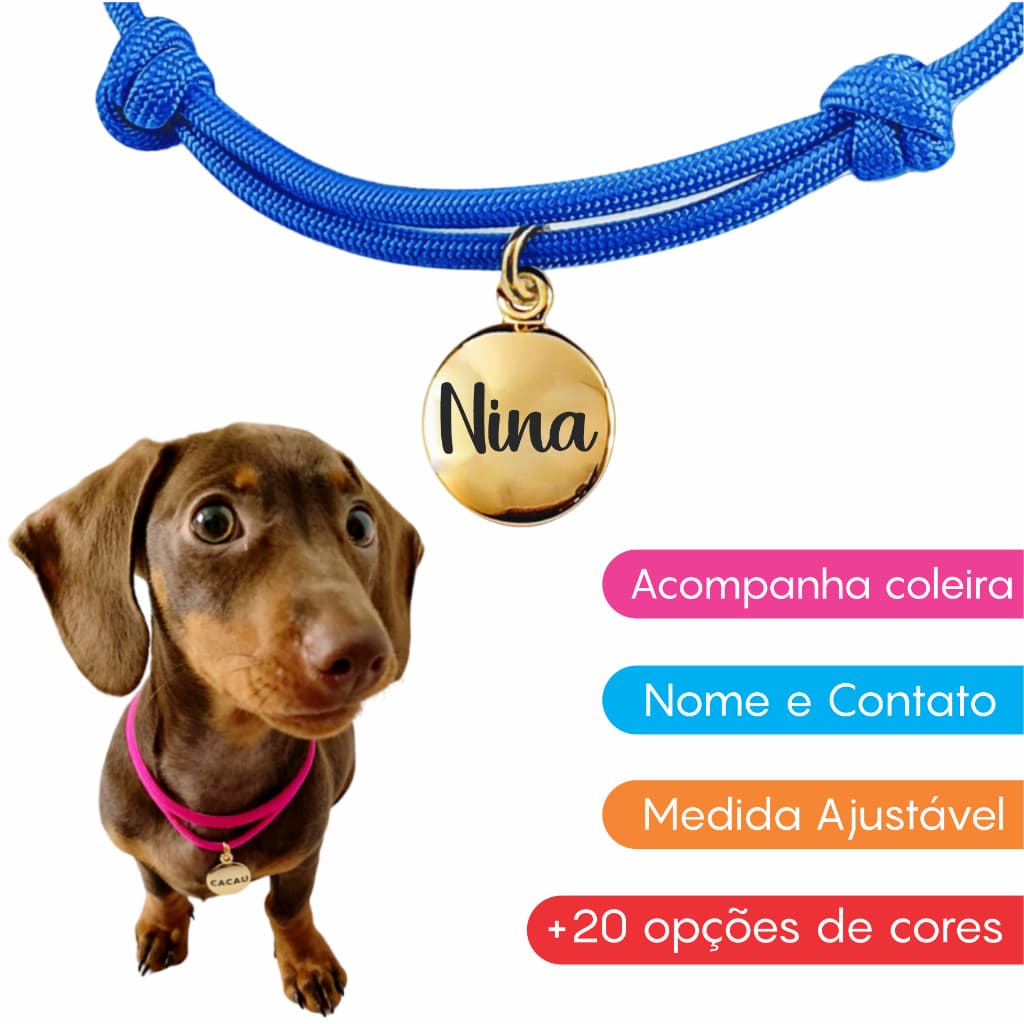 Coleira Para Cachorro Nome Personalizado Identificação Pet