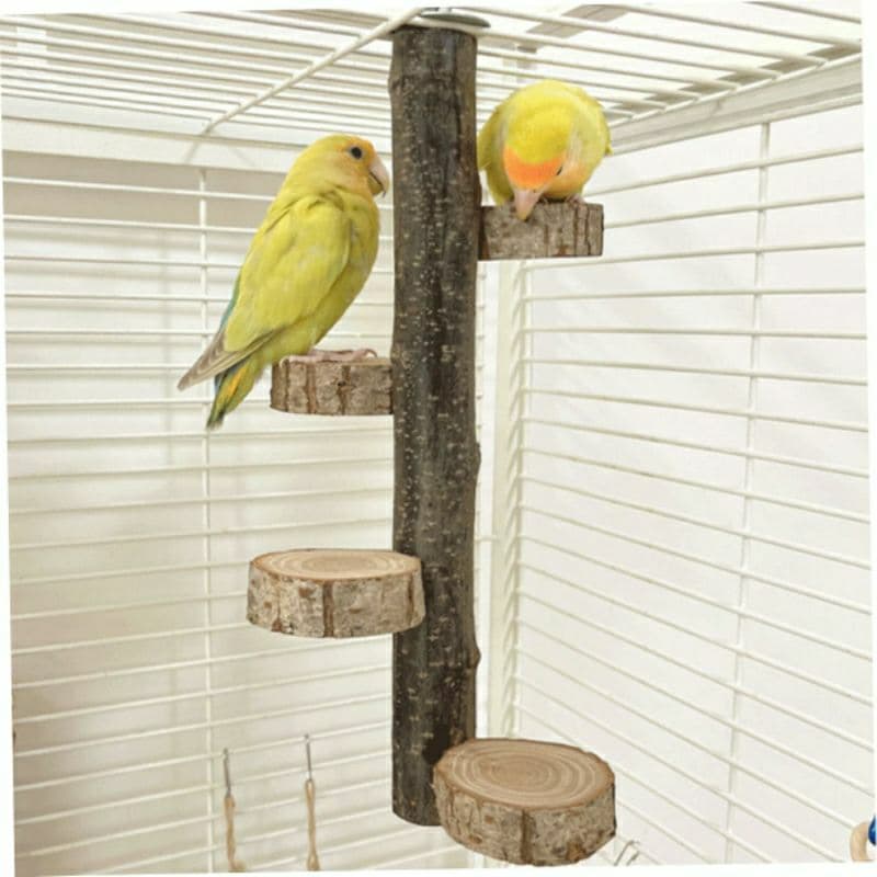 Poleiro teto escada em plataforma 40 cm de altura para calopsitas,agapornis e periquitos