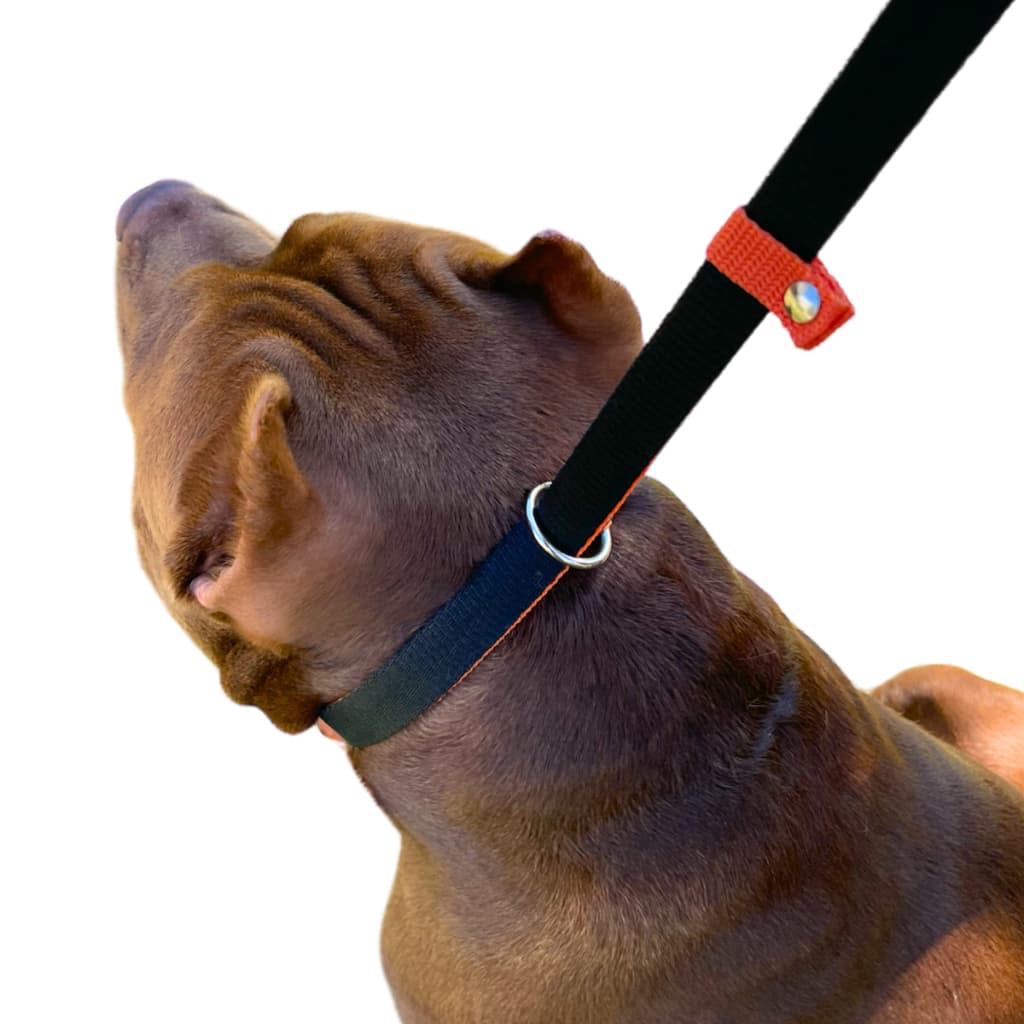 Guia Unificada Para Cachorro Anti Puxao Adestramento Profissional Passeio Para Cachorro Médio Grande