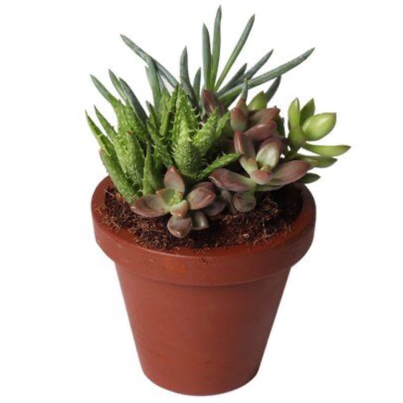 vaso colonial para plantas com 15 cm de altura e ótimo acabamento !!!