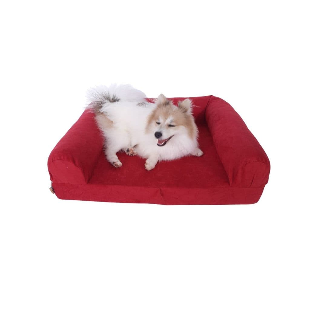 Cama Pet Sofá Ortopédico para Cachorro 65x55 cm 100% lavável - Conforto e Estilo - Cores