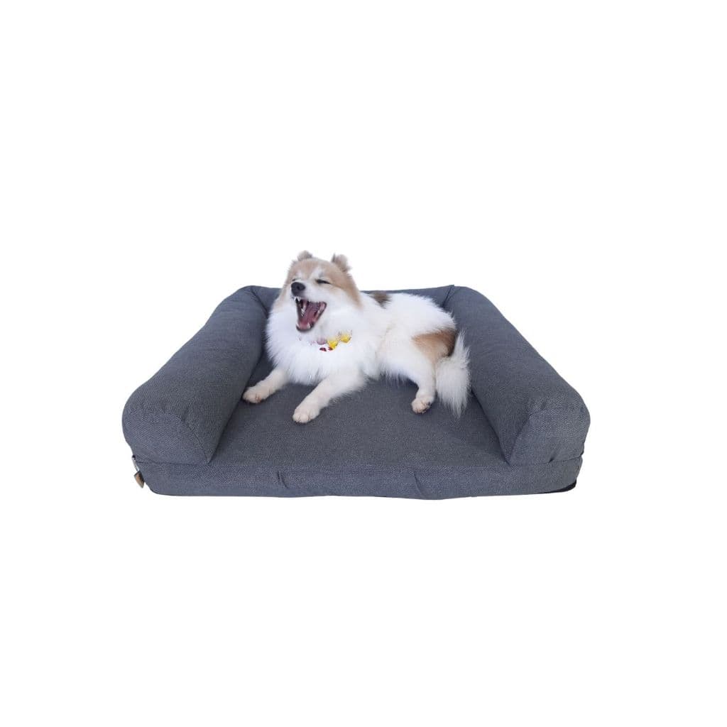 Cama Pet Sofá Ortopédico para Cachorro 65x55 cm Impermeável e Resistente