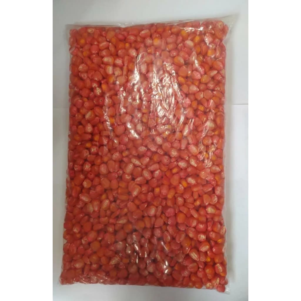 Semente Milho Comum Para Planta Bonamigo 1kg
