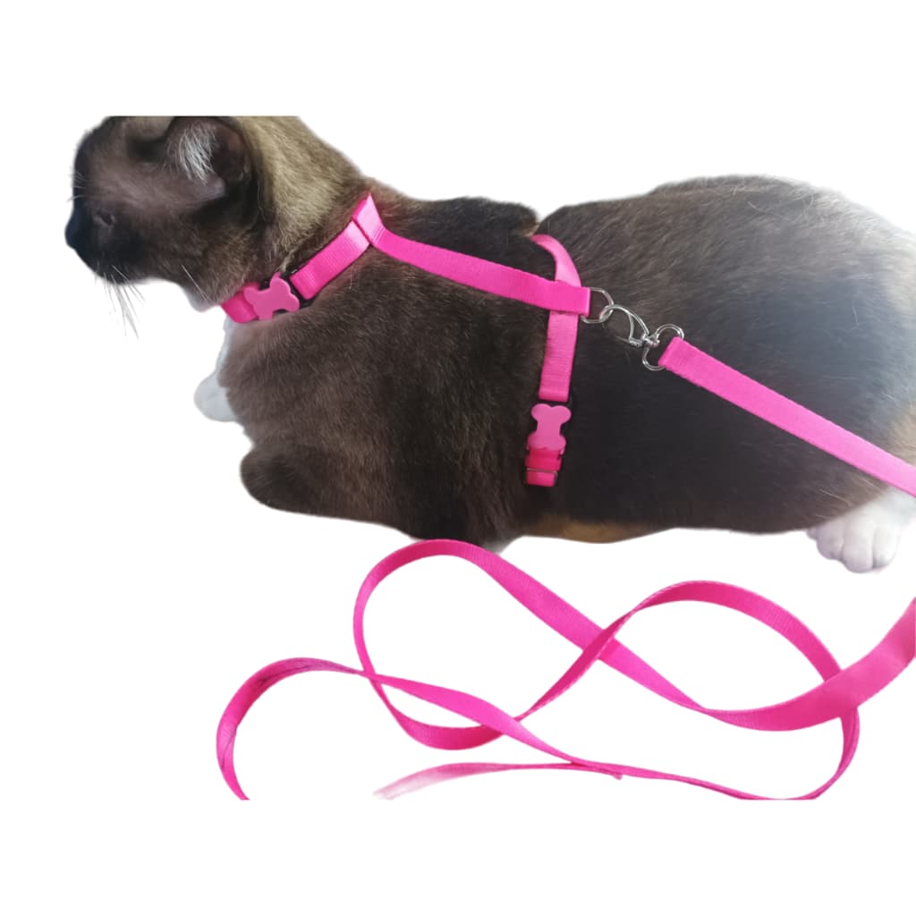 Peitoral e guia para gato e cachorros de pequeno porte
