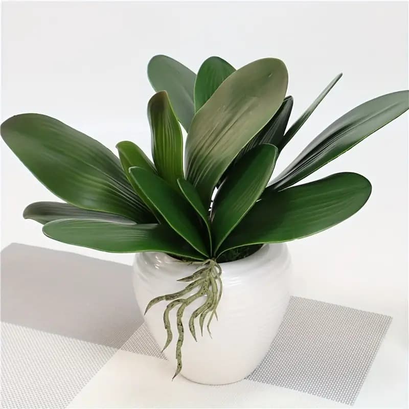 Folha De Orquidea Raizes Arranjos Artificiais Lindas Flores - ZH800407