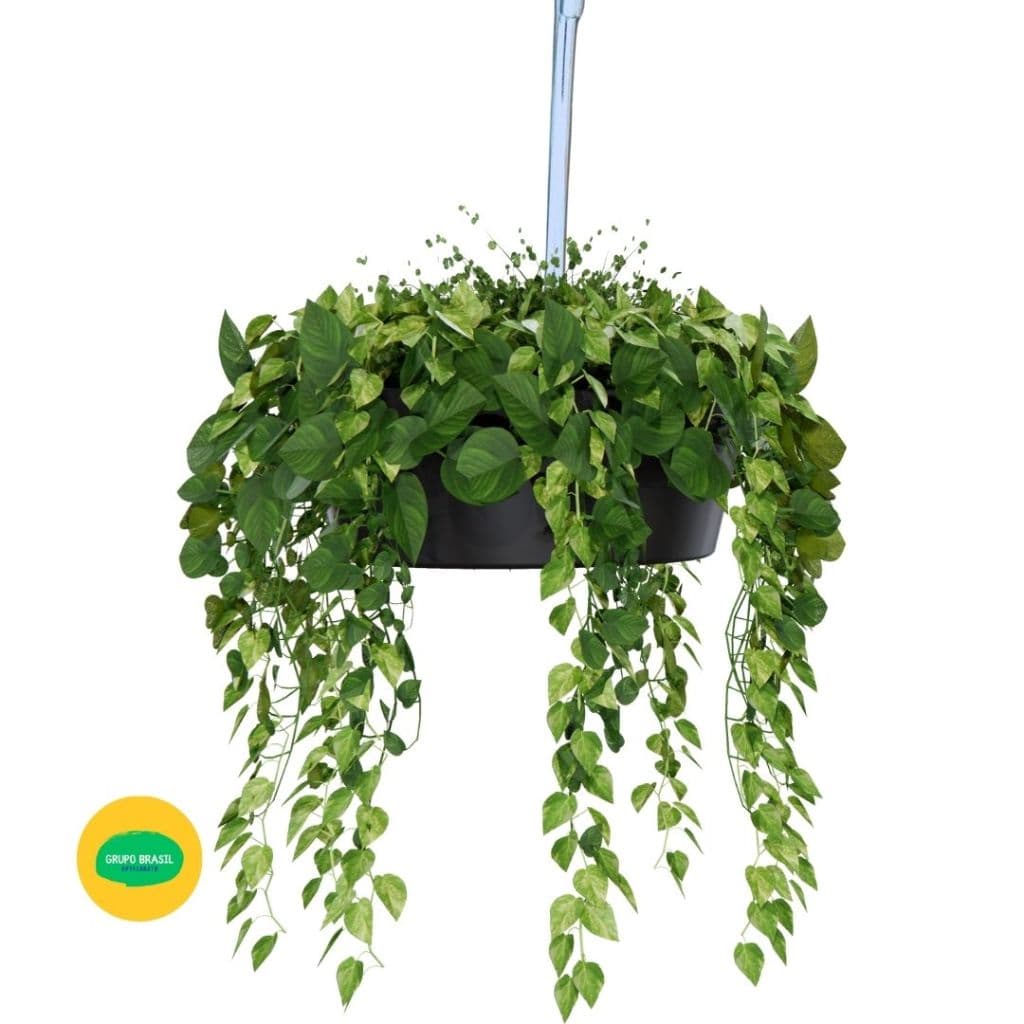 Gancho Suporte Pendura Planta | Pendura Treco | Pendura o que quiser