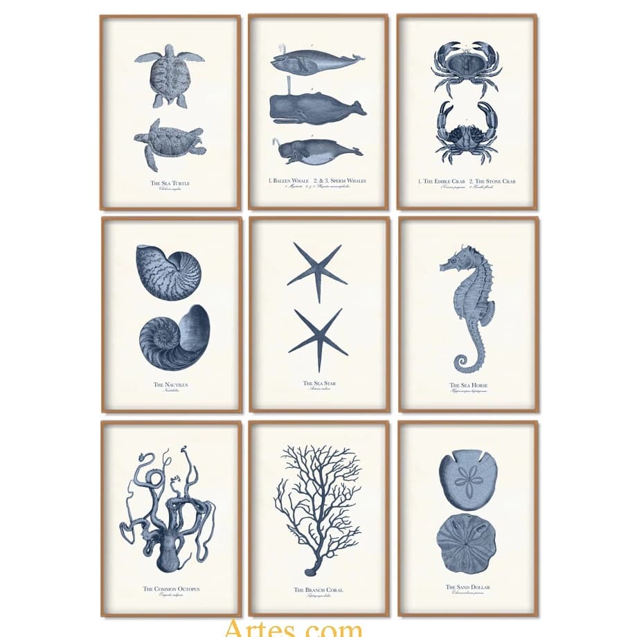 Quadro 1PEÇA  decorativo Fossil peixe tartaruga caracol estrela árvore da parede do vintage arte  pintura nordic posters