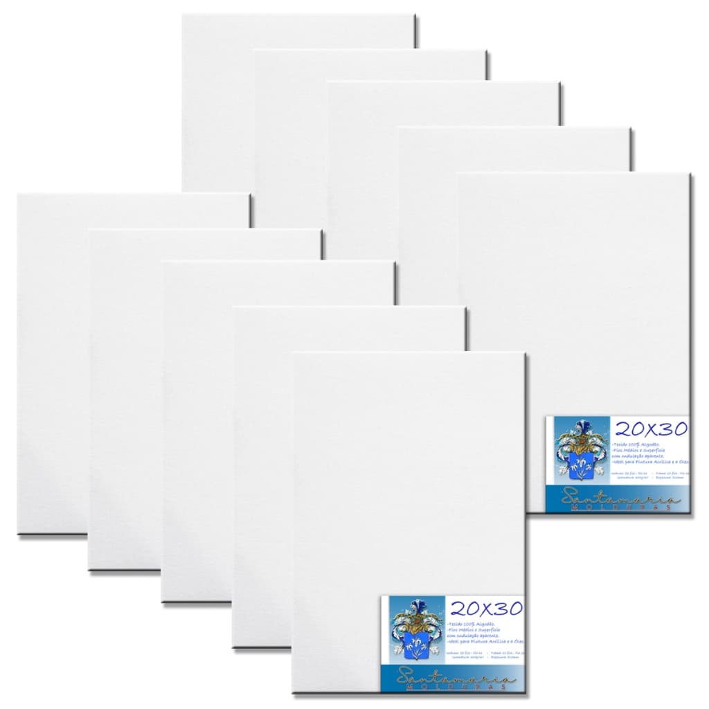 Kit 10 Telas De Pintura 20x30 Prontas Para Uso 100% Algodão