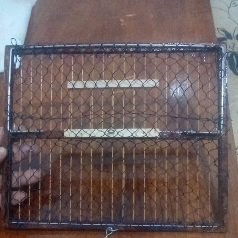 Redinha Pequena de Chão 28x22cm com Estrutura Funcional Malha Resistente para Gaiola e Apoio