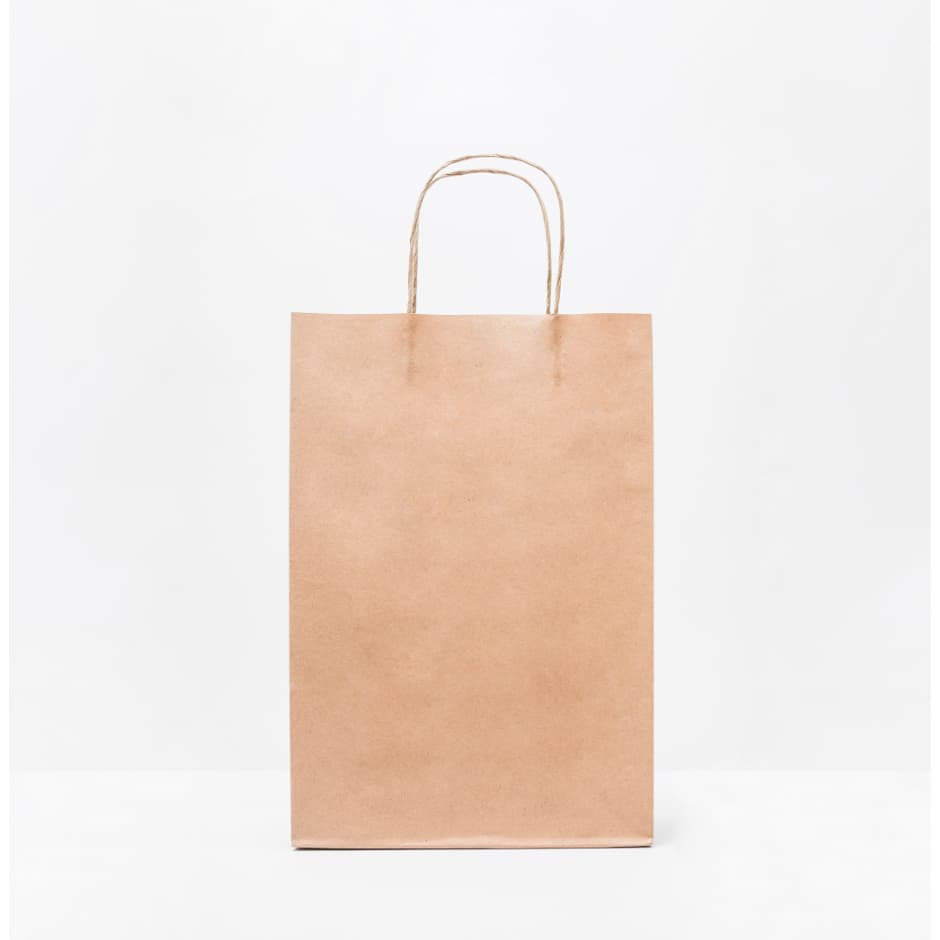 Sacolas Kraft (PARDA) - 10 Unidades G-31x31