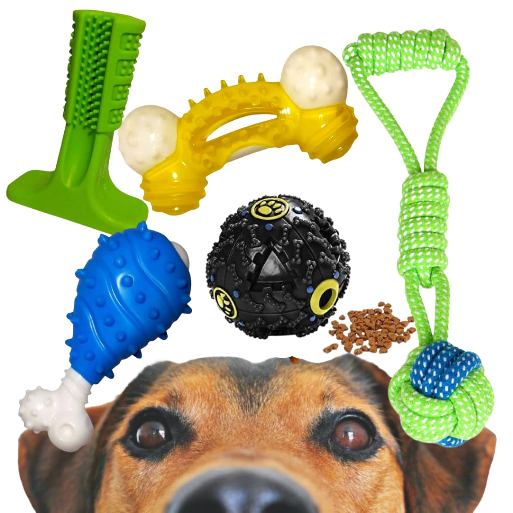 Kit De Brinquedos Para Cachorros 5 Mordedor Escova Dente Pet osso de nylon pet