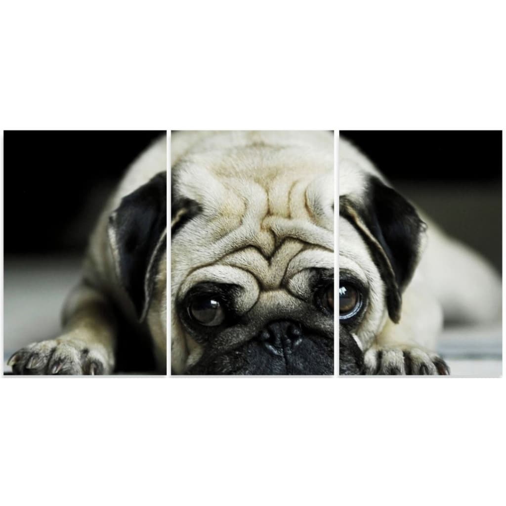 Quadro Decorativo Pug Cachorro Com 3 peças