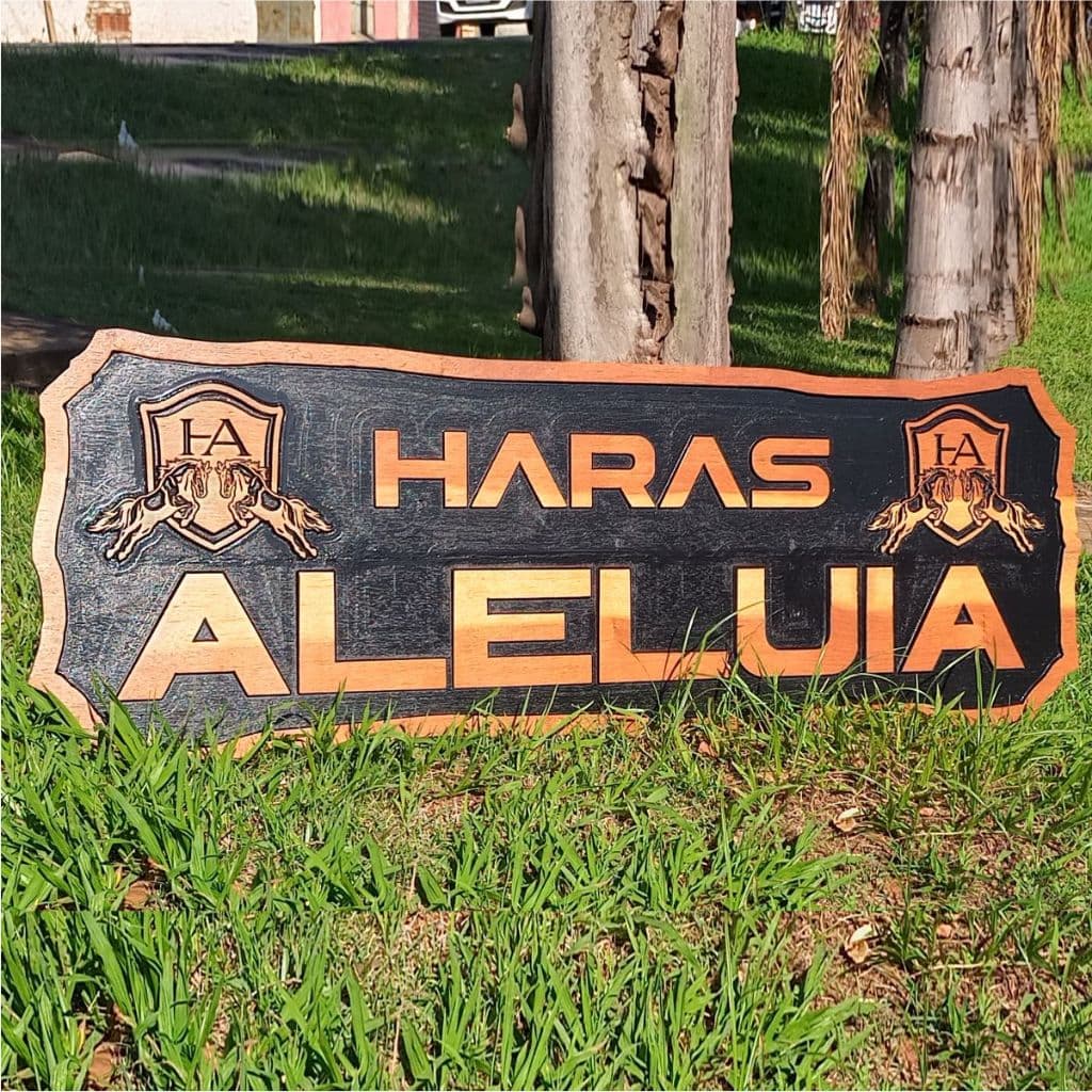 Placa Entalhada de madeira personalizada sitio rancho fazenda chácara haras