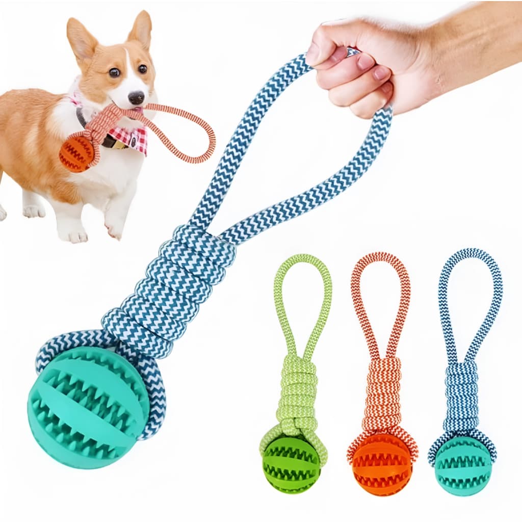 Brinquedo Para Cães E Gatos Mordedor Interativo Corda E bola Porta Petisco 25cm