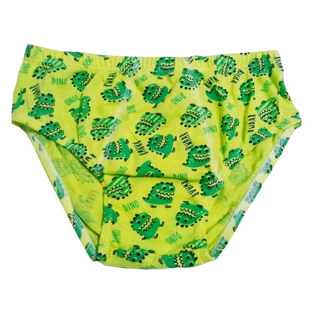 Cuecas Infantil De Algodão Estampas Sortidas