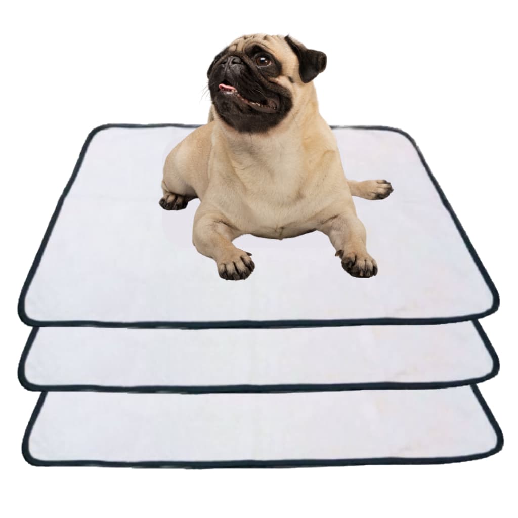 Kit 3 Tapetes Internos Lavável Para Cães - Casa Sem Xixi 50x35
