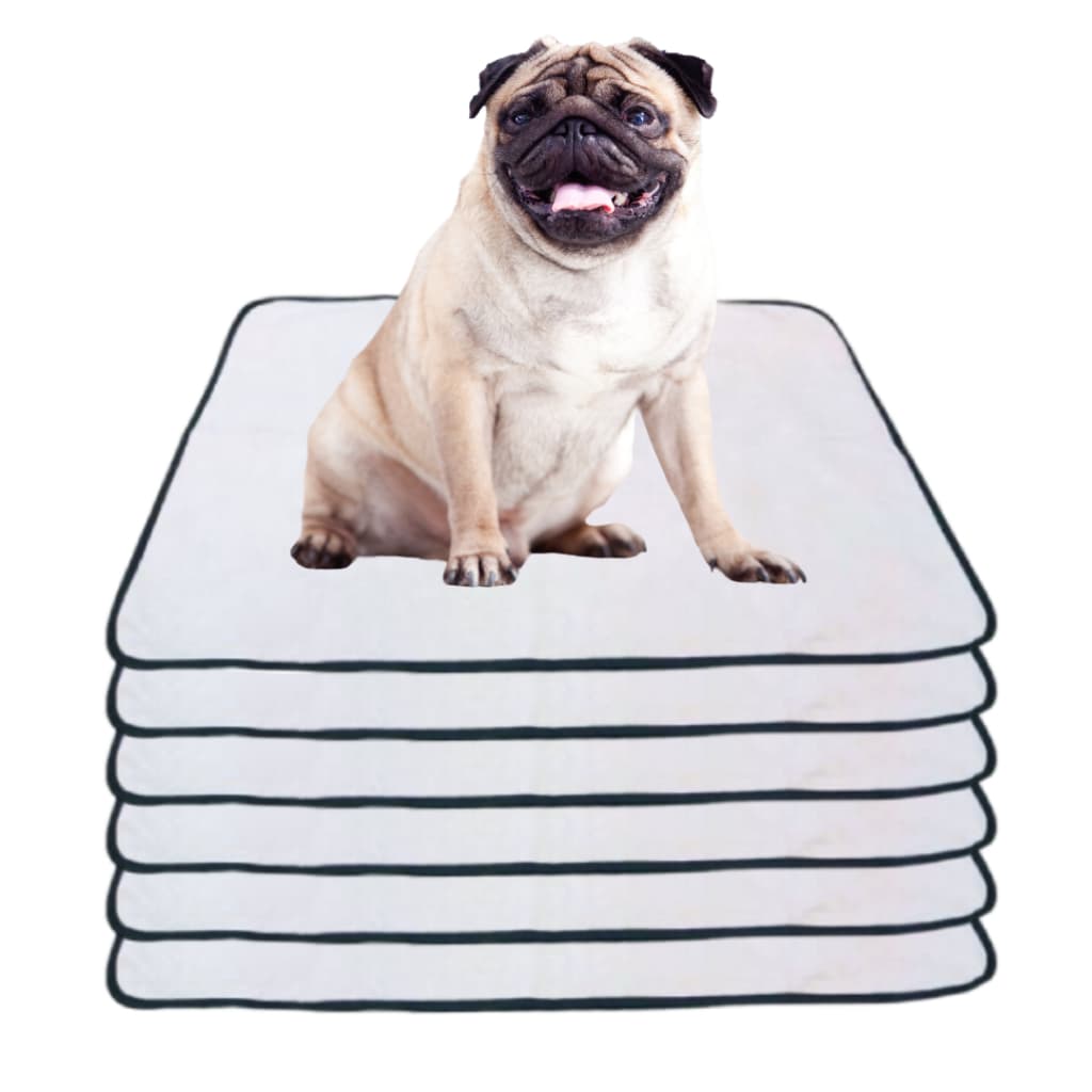 Kit 6 Tapetes Internos Lavável Para Cães - Casa Sem Xixi 50x35