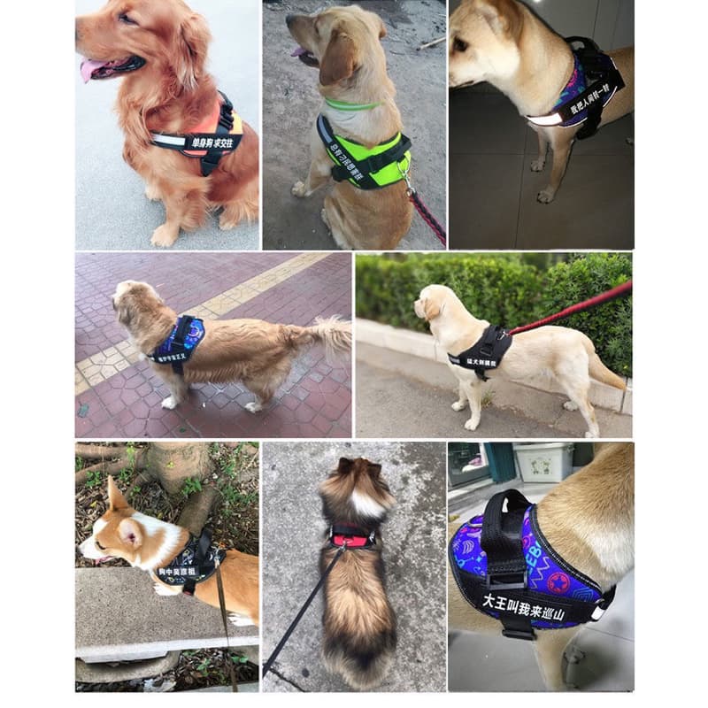 Coleira Peitoral Cachorro Medio e Grande.                                                NÃO É POSSÍVEL ESCOLHER A COR.                                                 Tamanhos: M para cachorro até 10kg/ G para cachorros Acima de 10kg