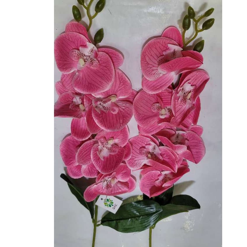 Orquídea 1 Haste com 6 Flores e 2 Folhas