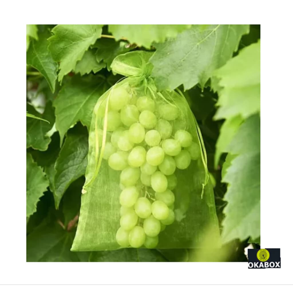 20 Saquinhos para proteção de frutas no pé lavavel organza Tamanho 20x30