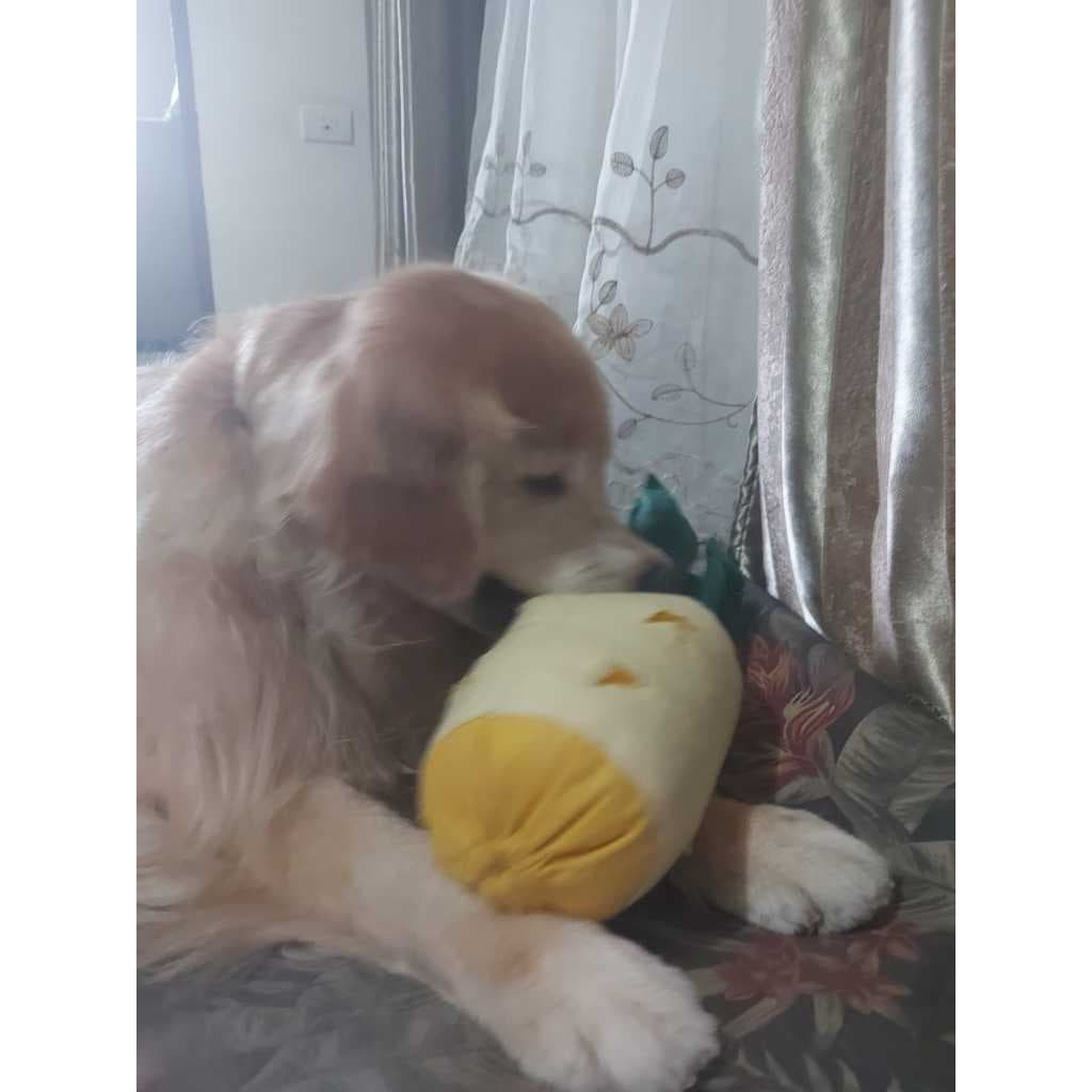 BRINQUEDO CACHORRO COM APITO BRINQUEDO PARA CÃES DE RECHEAR PELUCIA COM APITO PARA CACHORRO