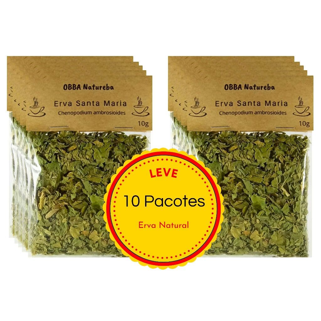 Leve 10 Chás de Erva de Santa Maria | Folhas secas para Chá Envio Imediato