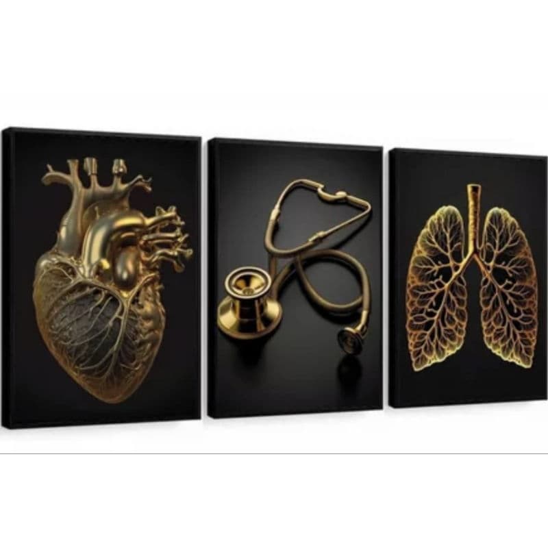 Kit 3 Quadros Decorativos Coração Pulmão Dourado