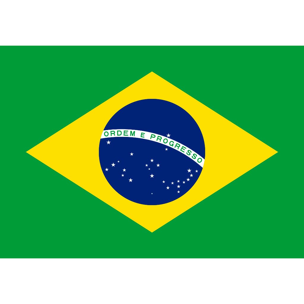 Adesivo em vinil bandeira do brasil 30x20cm ou 20x15cm