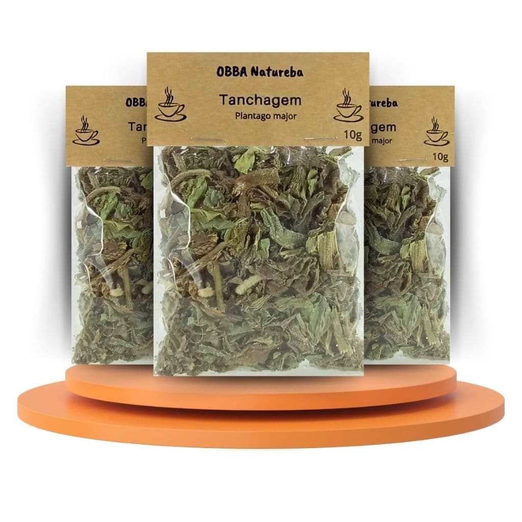 3 Pacotes Chá de Tanchagem-Puro Plantago major